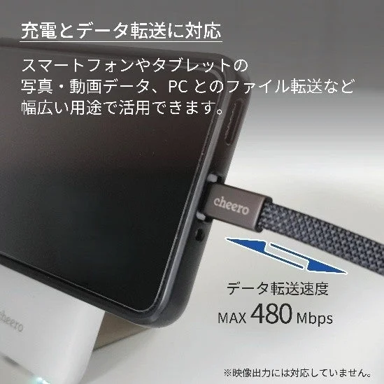Charging and data transfer support
