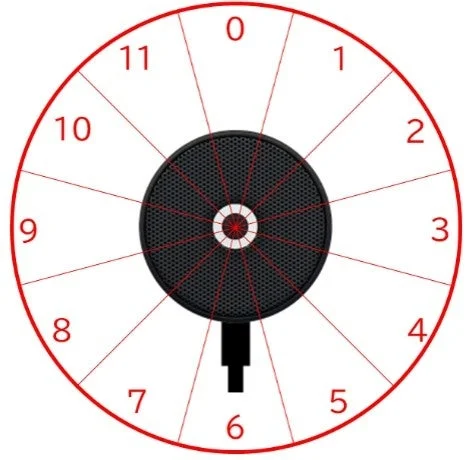 Microphone Directionality Diagram