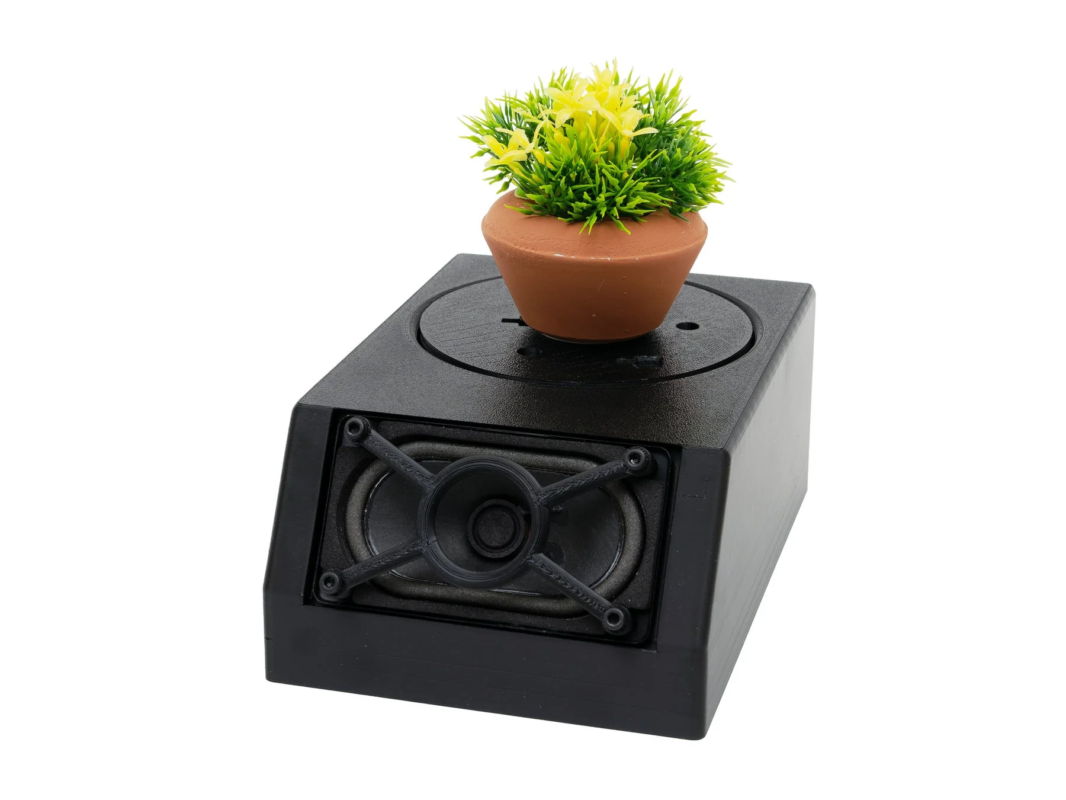 Speaker with a small potted plant