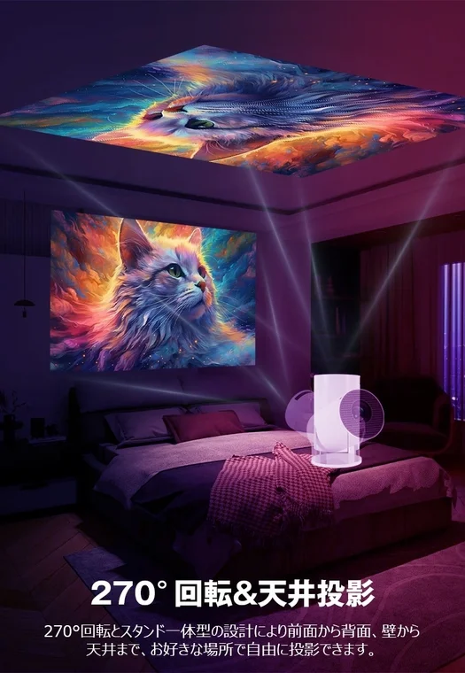 Bedroom Ceiling Projection