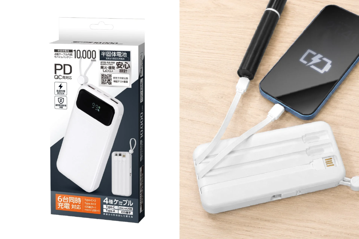 Mobile Battery Packaging