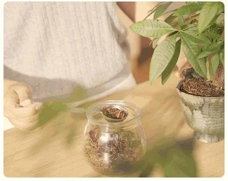 Compost Reuse Suggestion