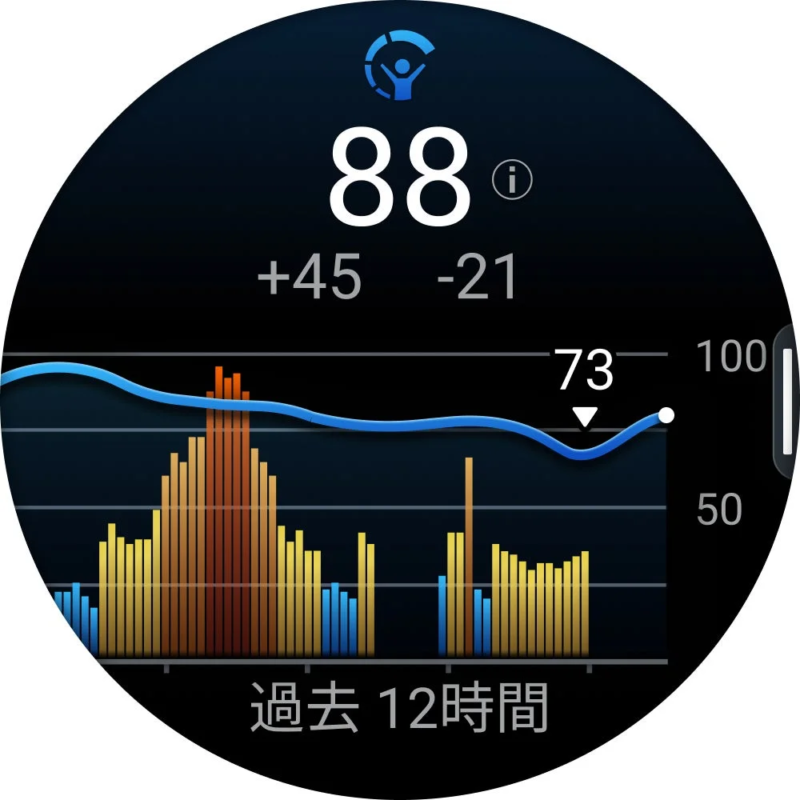Garmin Watch Data Display