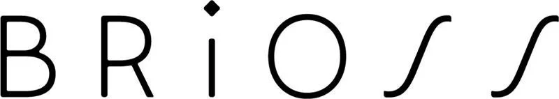 BRiOSS Logo
