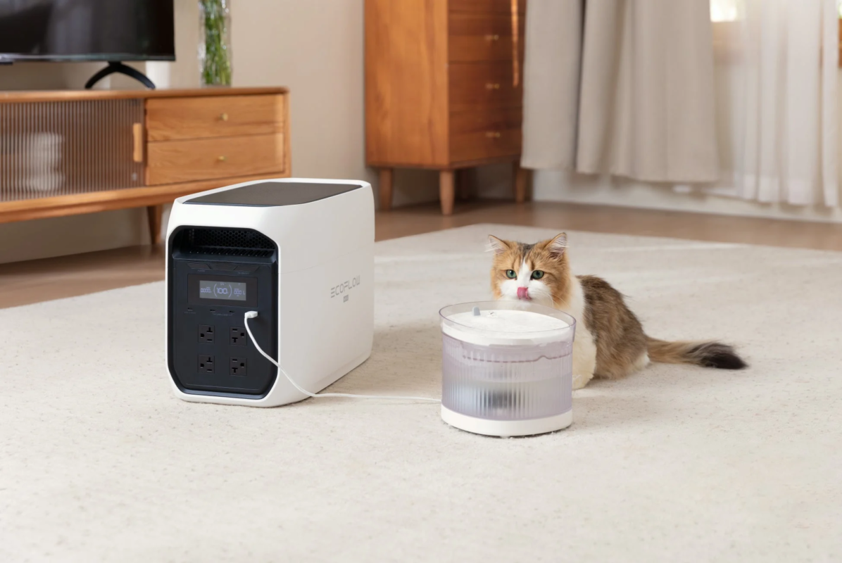 Cat with automatic pet feeder connected to EcoFlow DELTA 3 Max