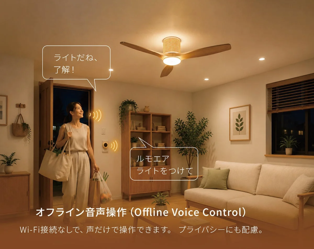"Zen" Series Ceiling Fan Light