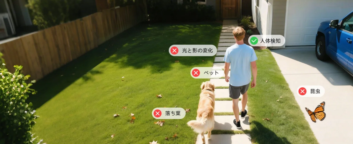 AI Human Detection Settings