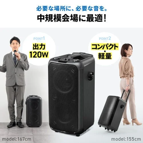 Speaker for medium-sized venues