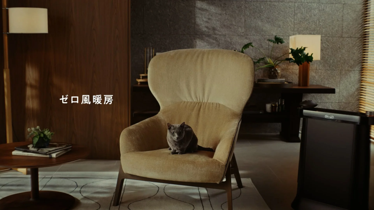 CM storyboard - cat on chair