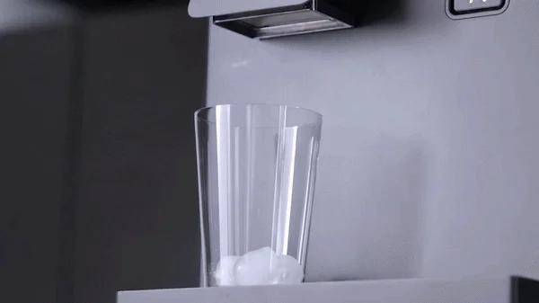 Ice dispenser