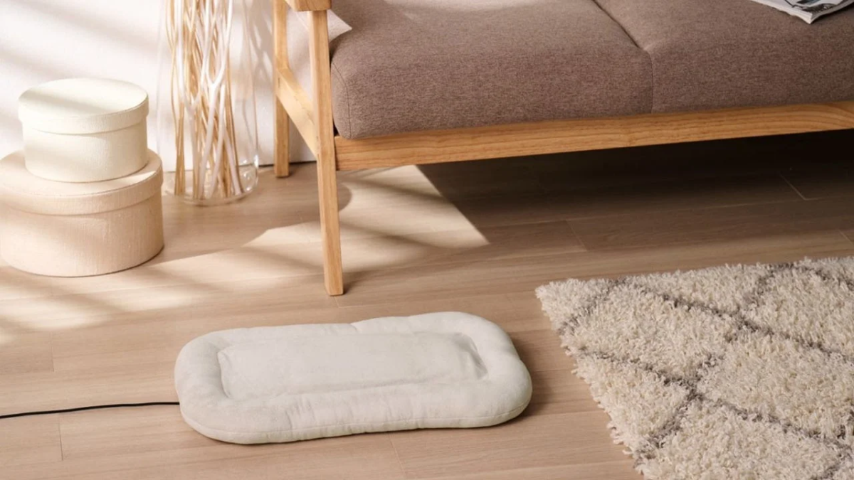 Pet bed in a comfortable living room