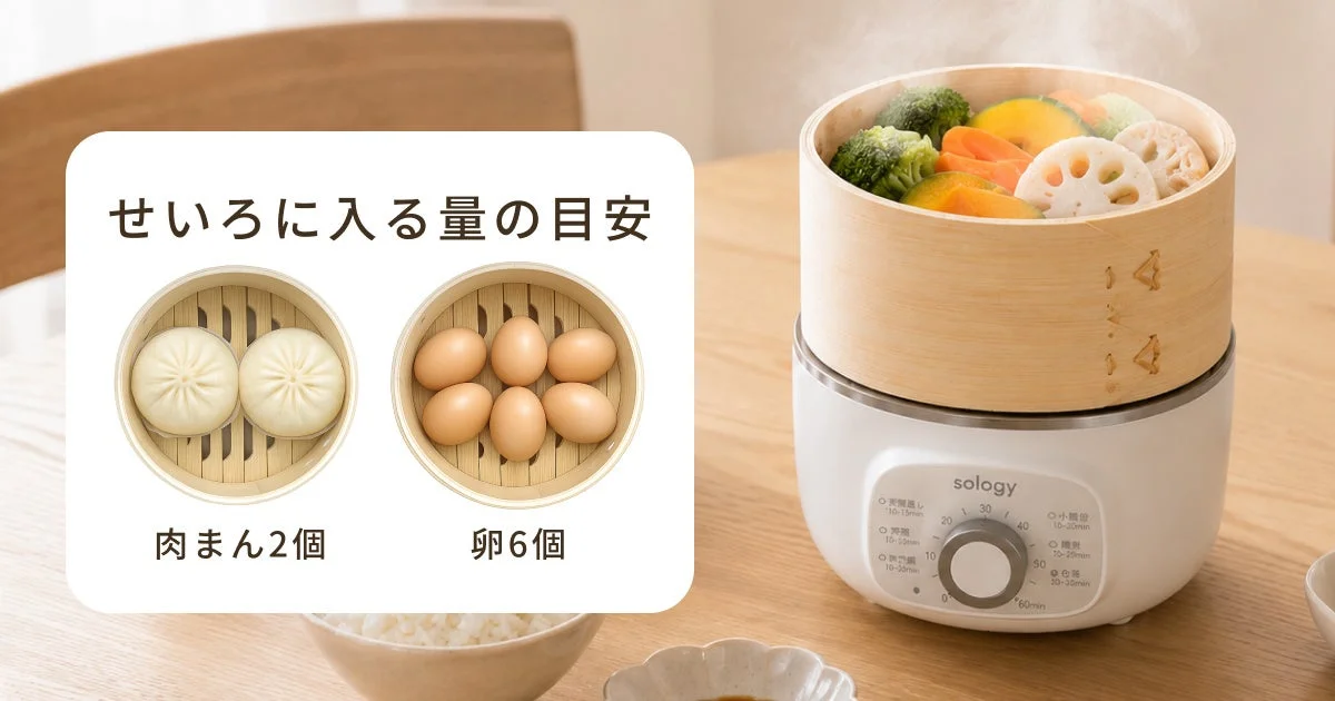 Electric steamer with capacity guide
