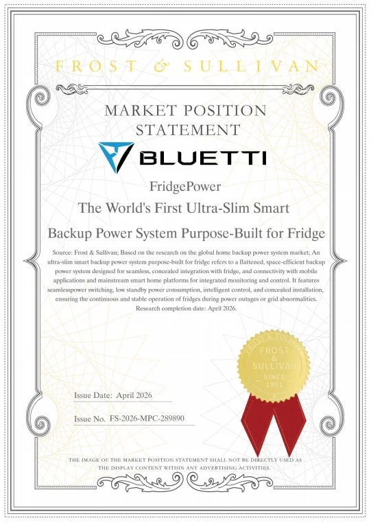 Frost & Sullivan Market Position Statement